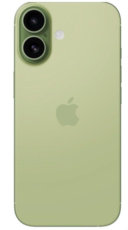 The iPhone 17 in Sage, Apple's latest smartphone.